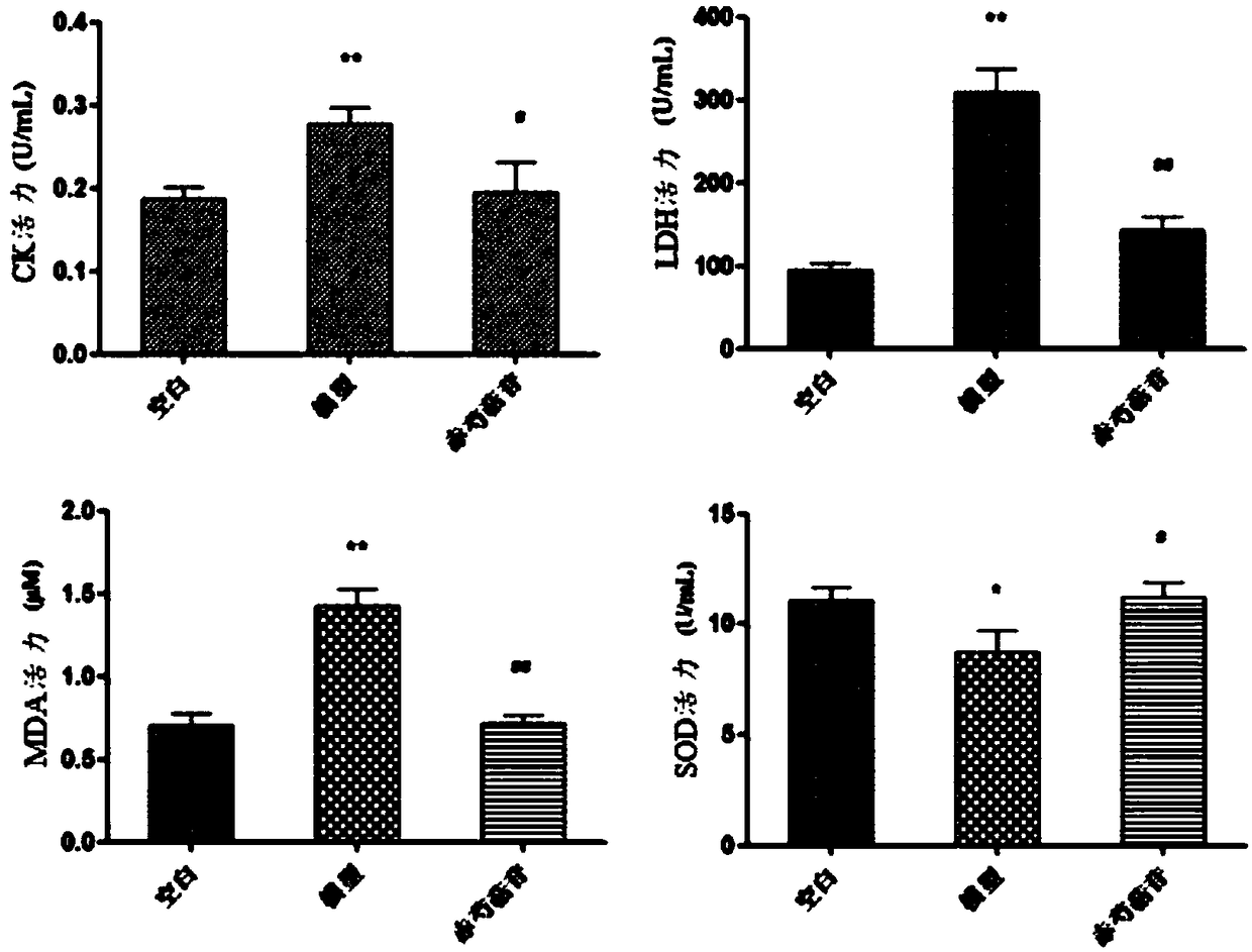 Radix paeoniae rubra terpene glycoside composition with function of anti-myocardial ischemia and preparation method thereof