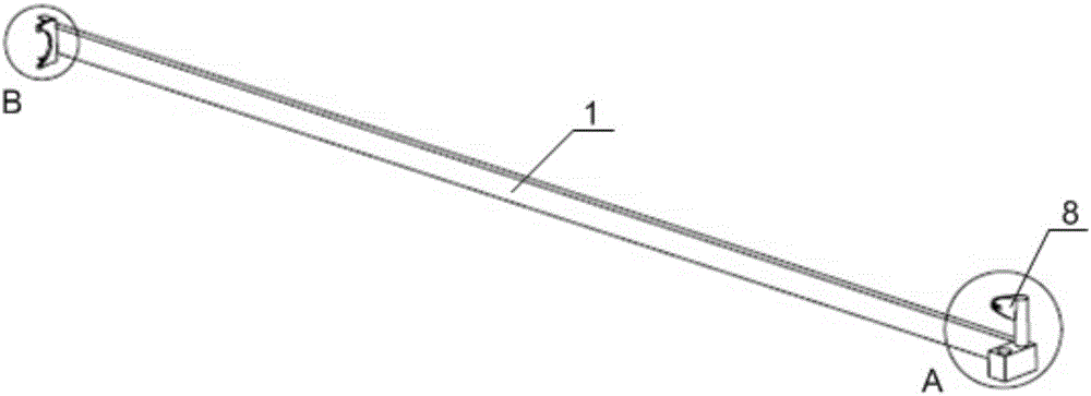 Head and neck fixing device for trionychidae animal