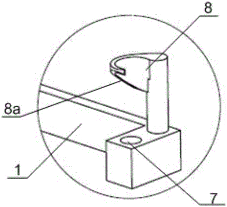 Head and neck fixing device for trionychidae animal