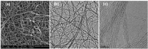 Floating catalyst chemical vapor deposition method of single-walled carbon nanotubes