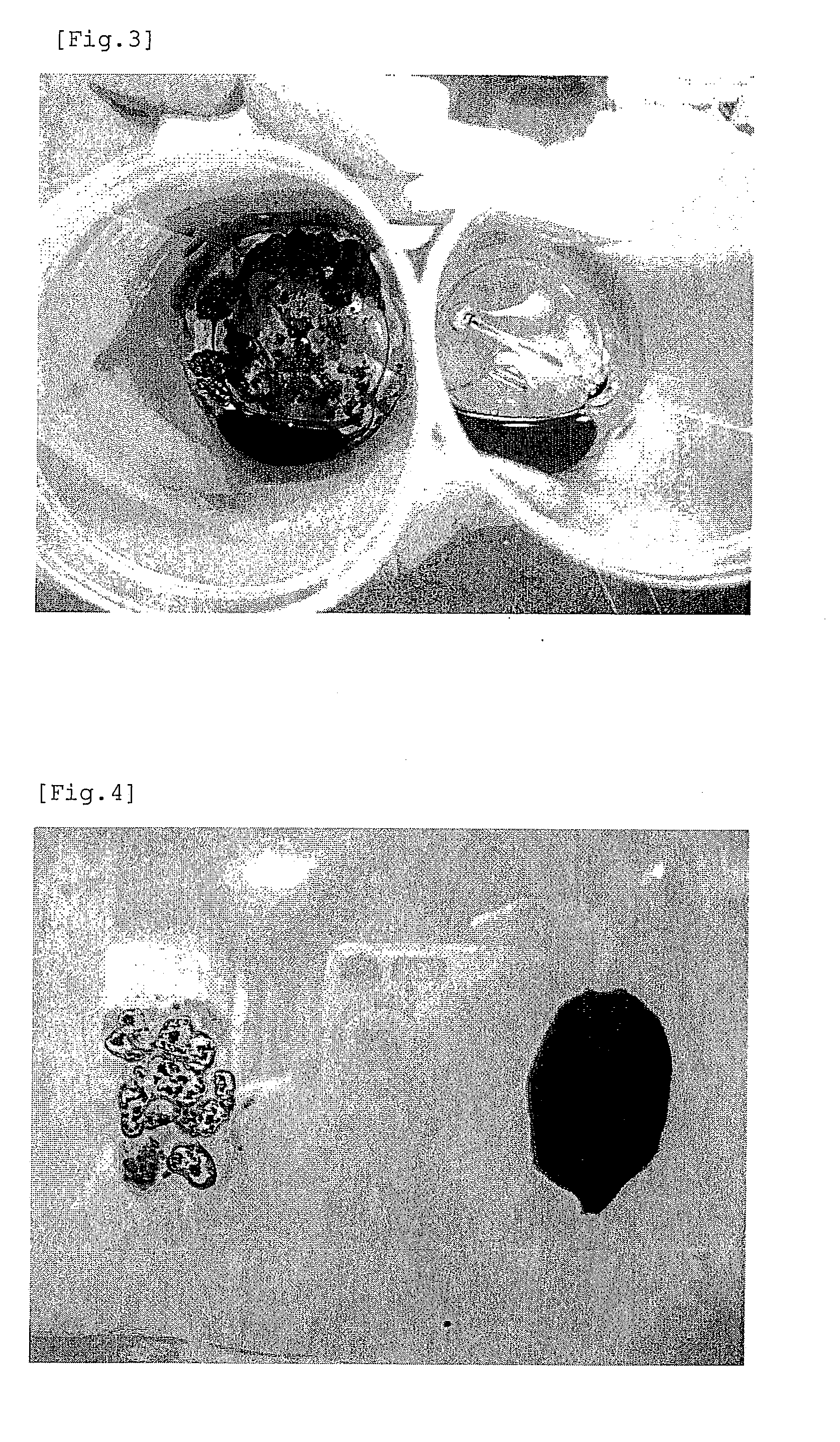 Conductive Polymer Composition and Process for Preparing the Same