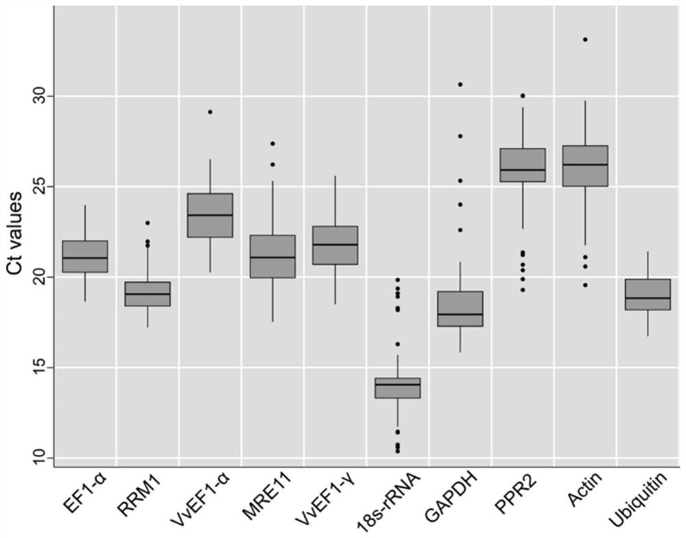 QRT-PCR reference genes of grapes and application of qRT-PCR reference genes