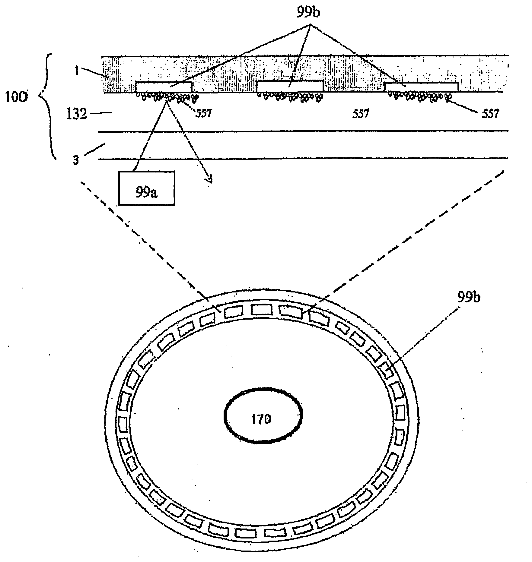 Bio disc, bio-driver apparatus, and assay method using the same