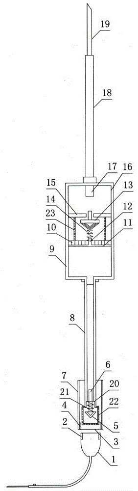 Dual-valve purification vein infusion device provided with filtering elastic valve and elastic buoyant valve