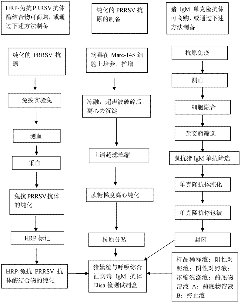 ELISA (enzyme-linked immuno sorbent assay) detection kit for porcine reproductive and respiratory syndrome virus IgM (immunoglobulin m) antibodies as well as preparation method and application of ELISA detection kit