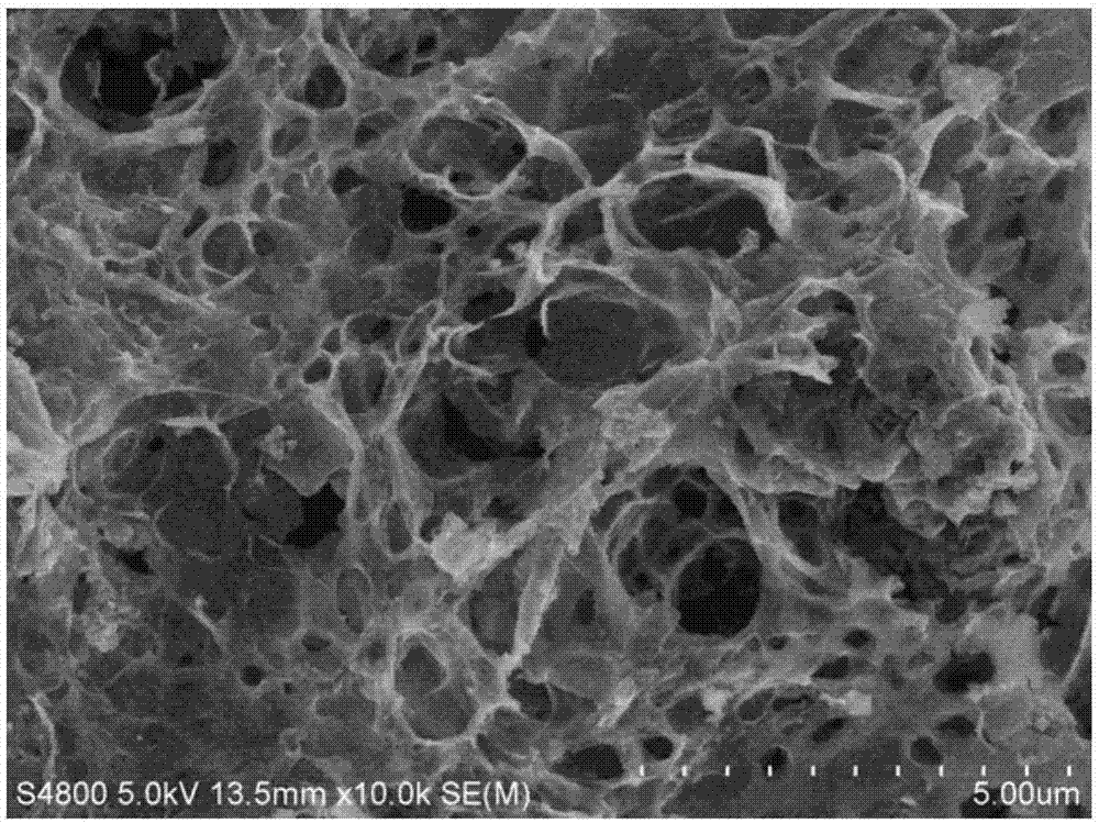 Preparation method and application of biomass graphitized porous carbon material