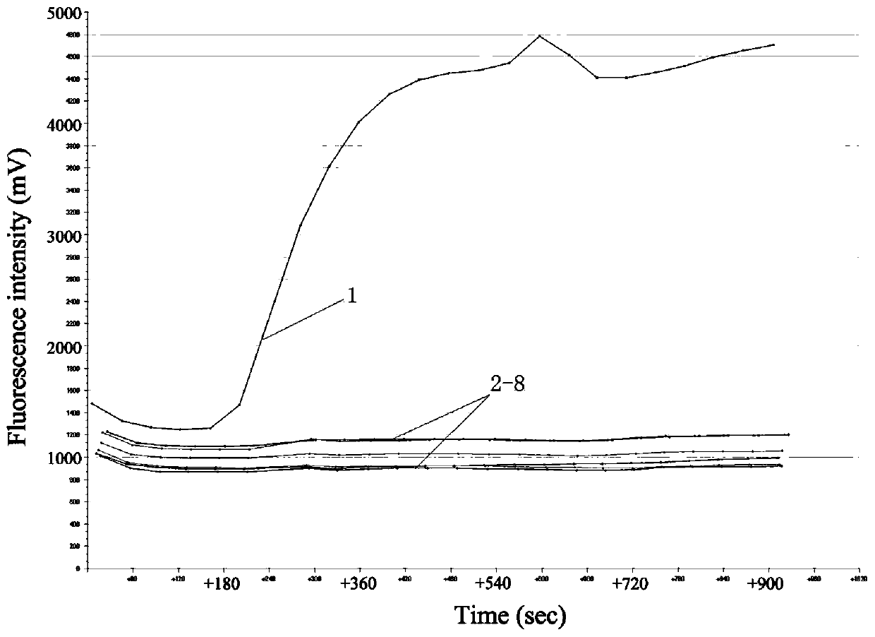 Reagent, detection method and application for detection of African hog cholera virus