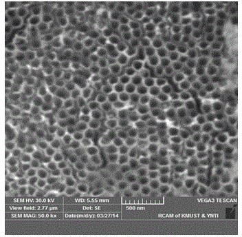 Preparation method and applications of carburized titanium dioxide nanotube array