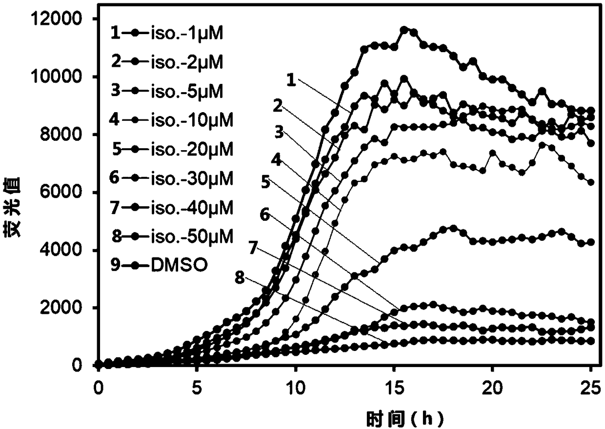 Application of psoralen B in inhibiting abnormal aggregation of Tau protein