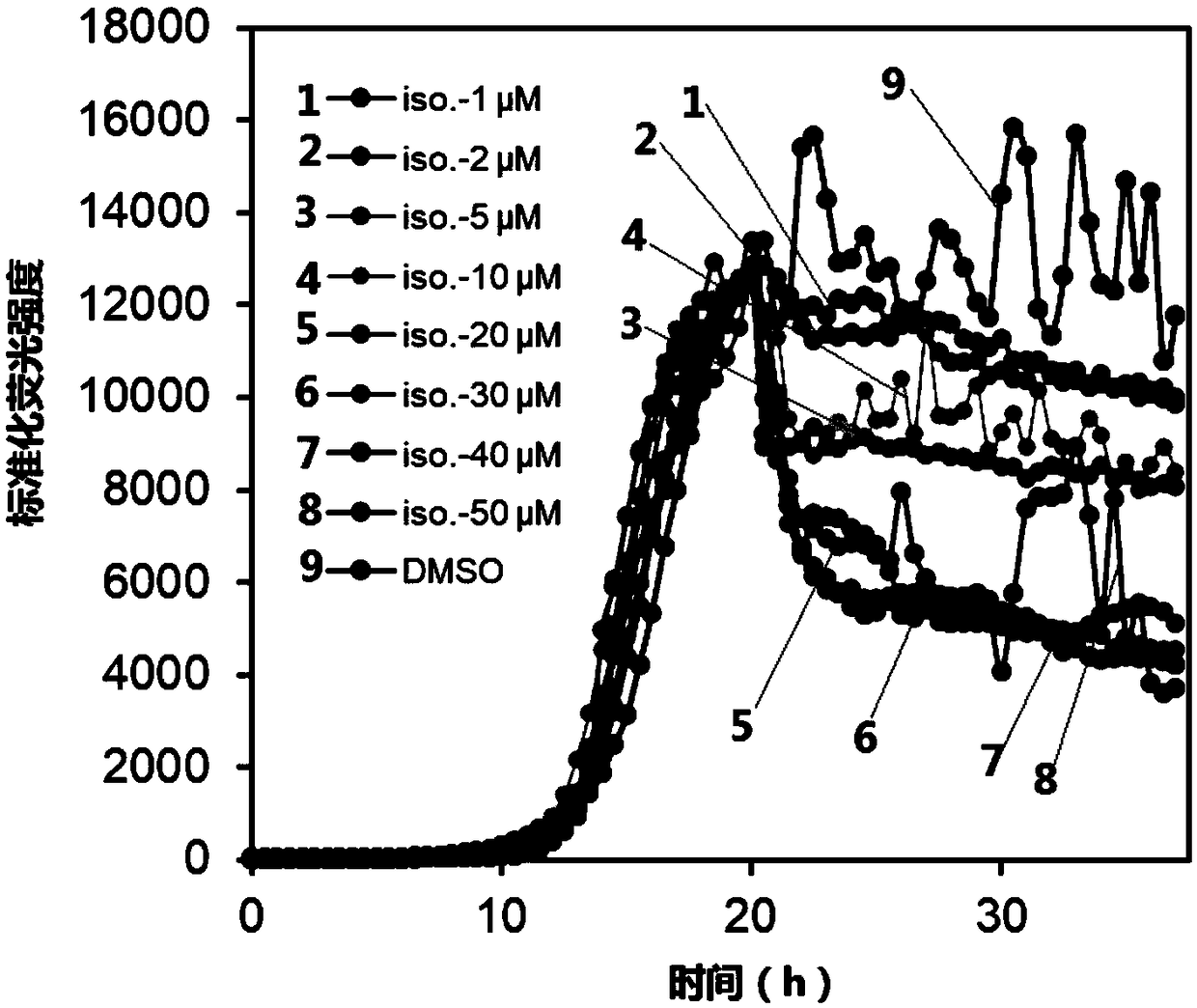 Application of psoralen B in inhibiting abnormal aggregation of Tau protein