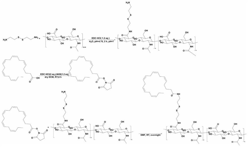 Arachidonic acid-hyaluronic acid conjugate as well as preparation method and application thereof