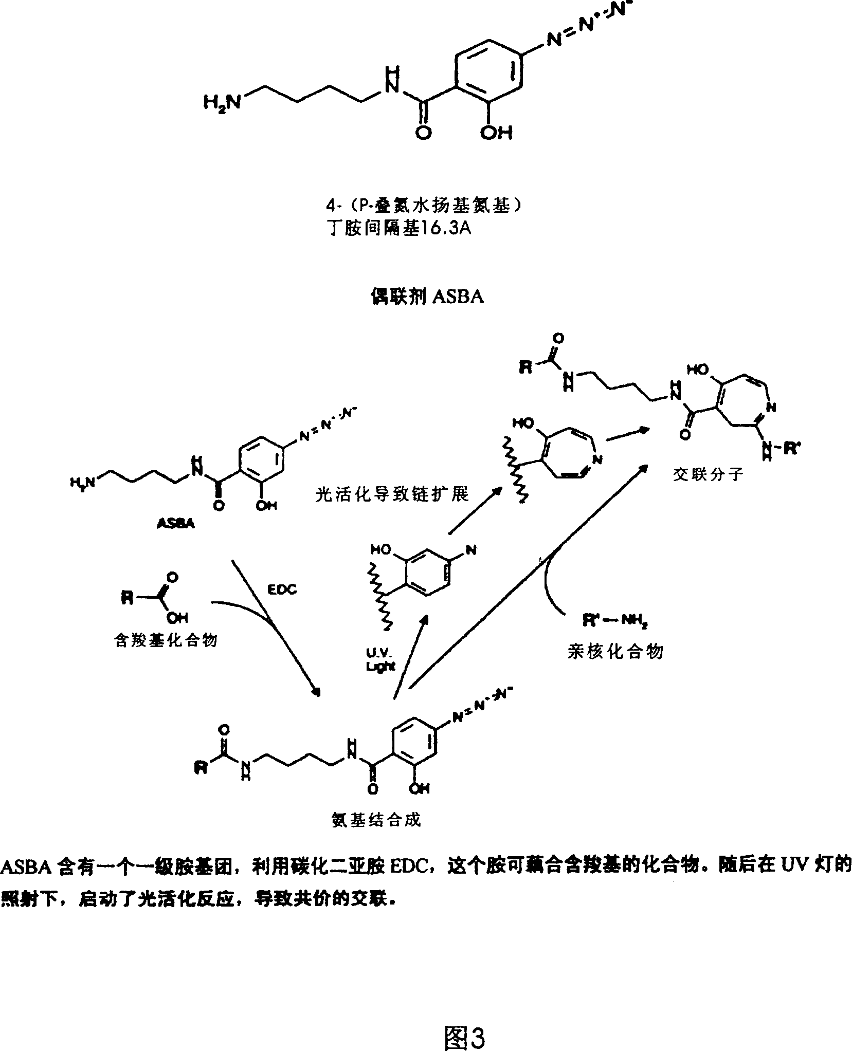 Technique for producing novel bio-agricultural chemical songgang-mycin