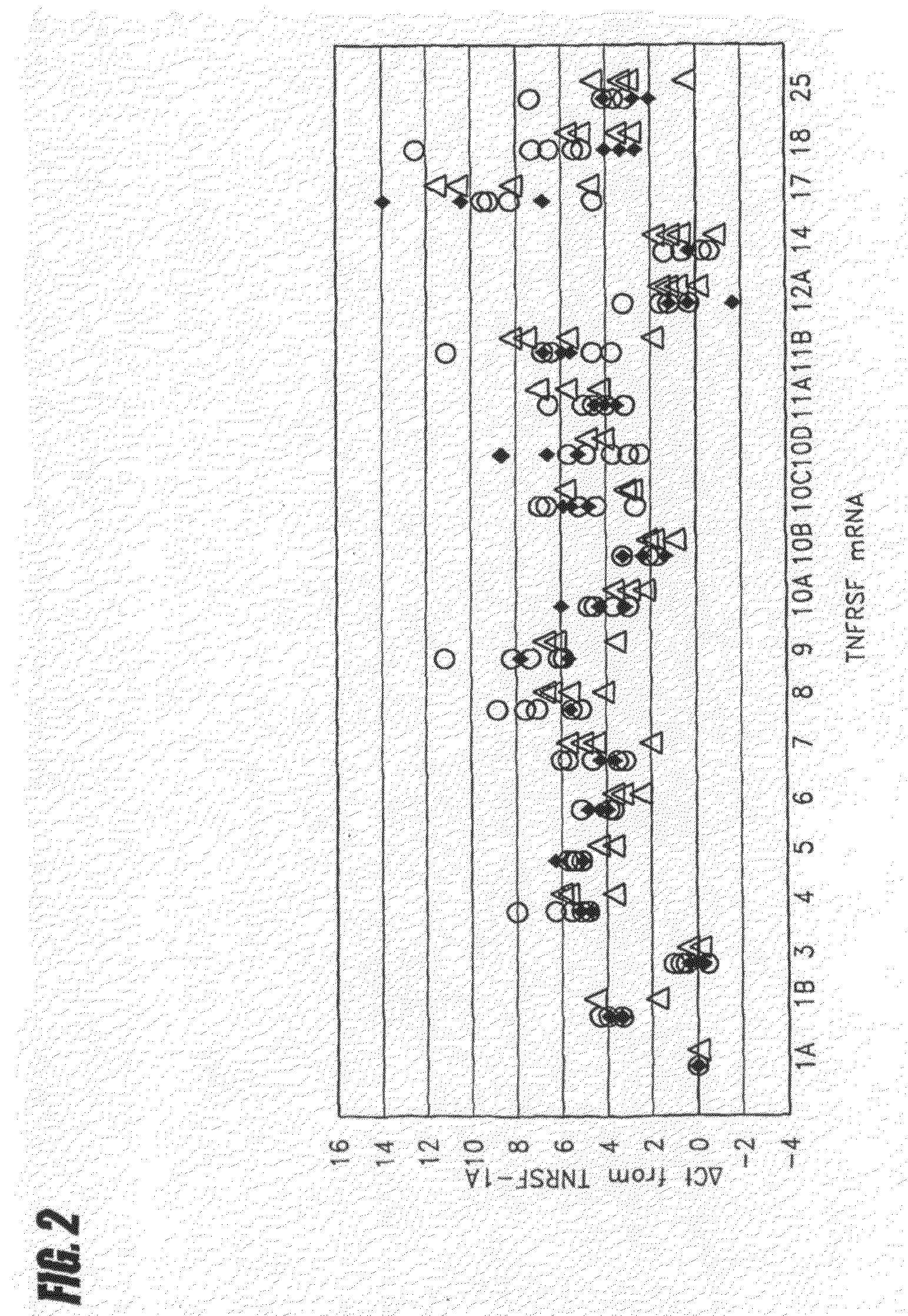 METHOD FOR PREDICTING IMMUNE RESPONSE TO NEOPLASTIC DISEASE BASED ON mRNA EXPRESSION PROFILE IN NEOPLASTIC CELLS AND STIMULATED LEUKOCYTES