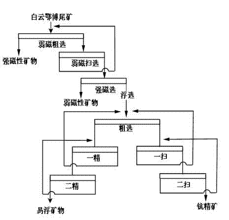 Method for separating scandium concentrate from bayan obo tailings