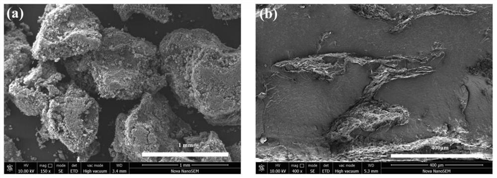 High-thermal-conductivity electromagnetic shielding polyether-ether-ketone composite material with isolation structure as well as preparation method and application thereof