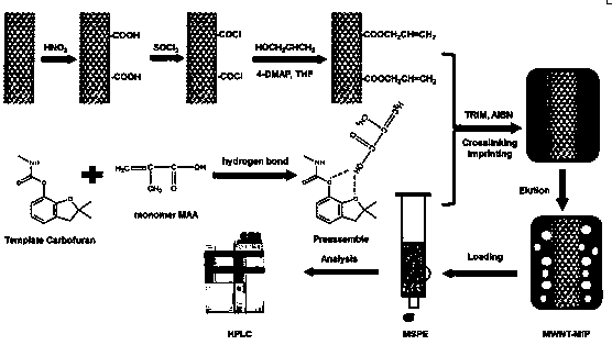 Carbon nanotube surface molecularly-imprinted solid phase extraction column for carbofuran