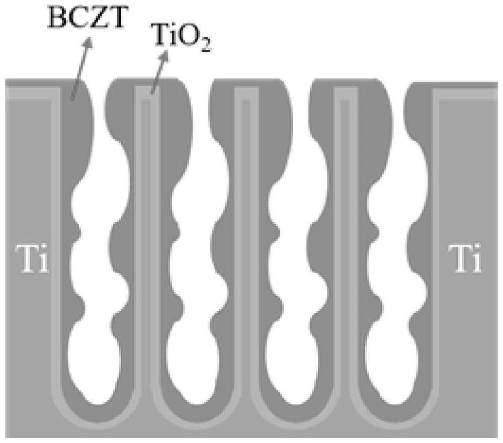 Preparation method of biological piezoelectric coating on surface of titanium-based material