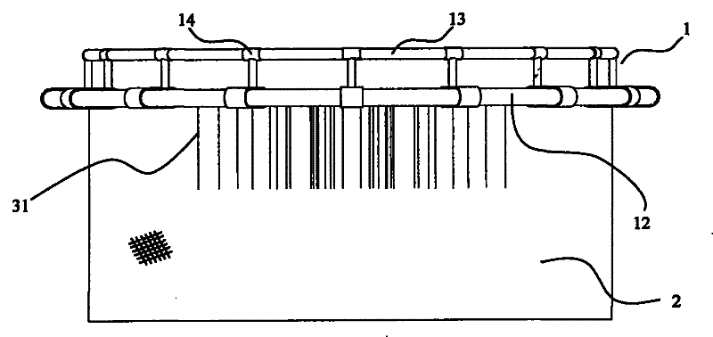Sepiella maindroni cage culturing method and special cage device thereof