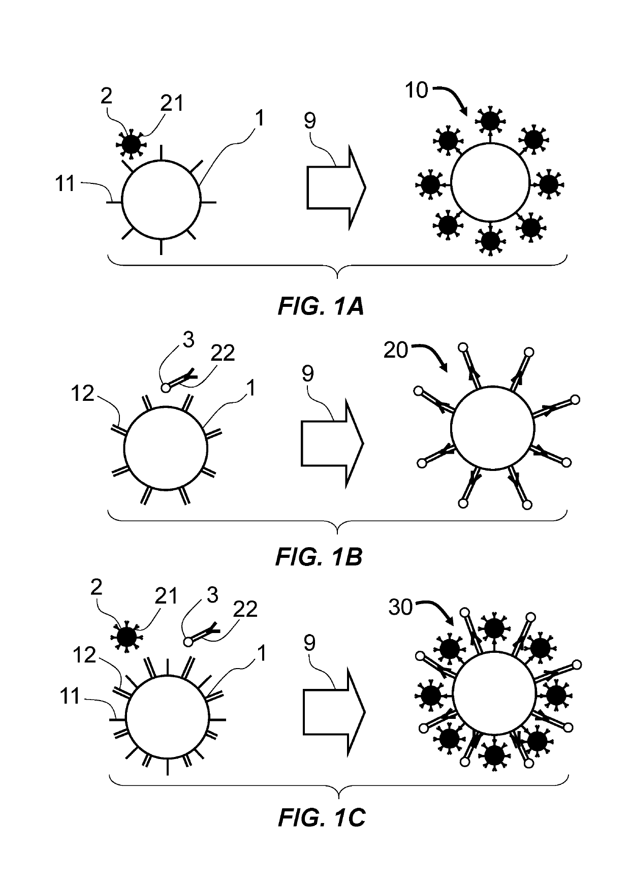 Methods and apparatus to separate biological entities