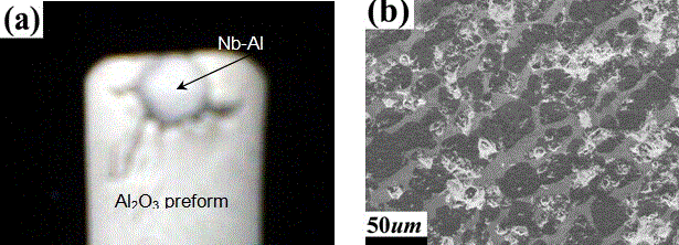 Method for improving wettability of Al2O3 porous perform and NbAl molten alloy