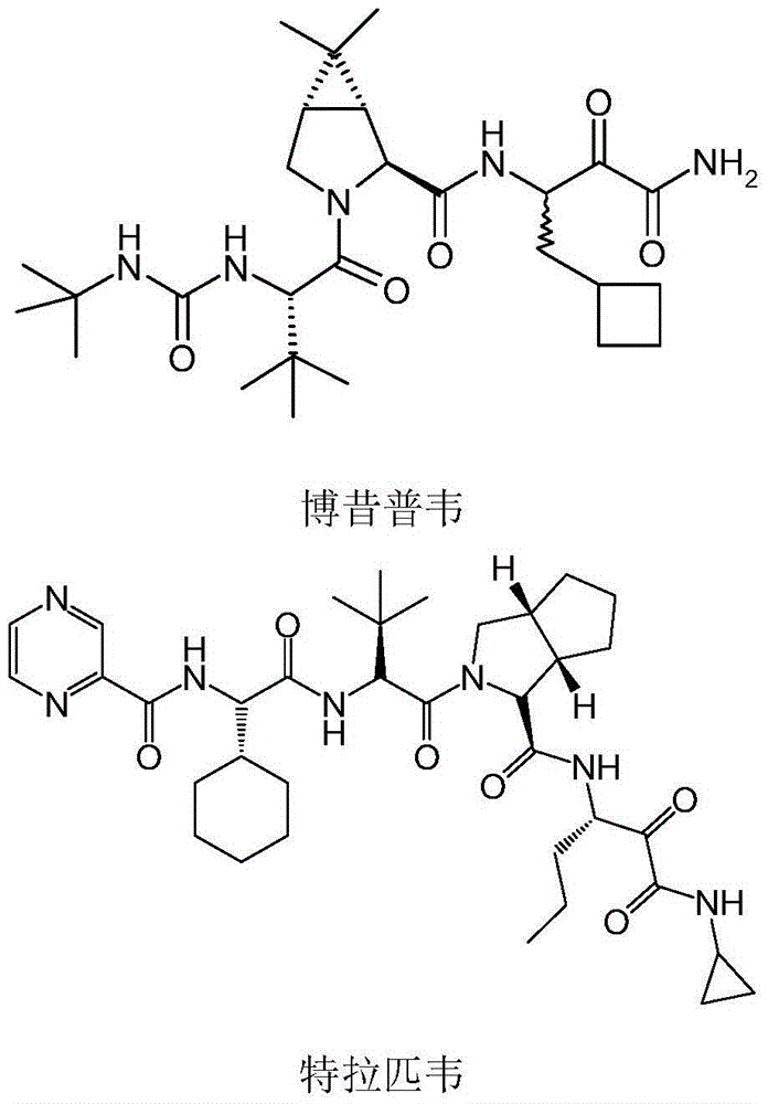 Monoamine oxidase and application thereof in synthesis of chiral azabicyclic compounds