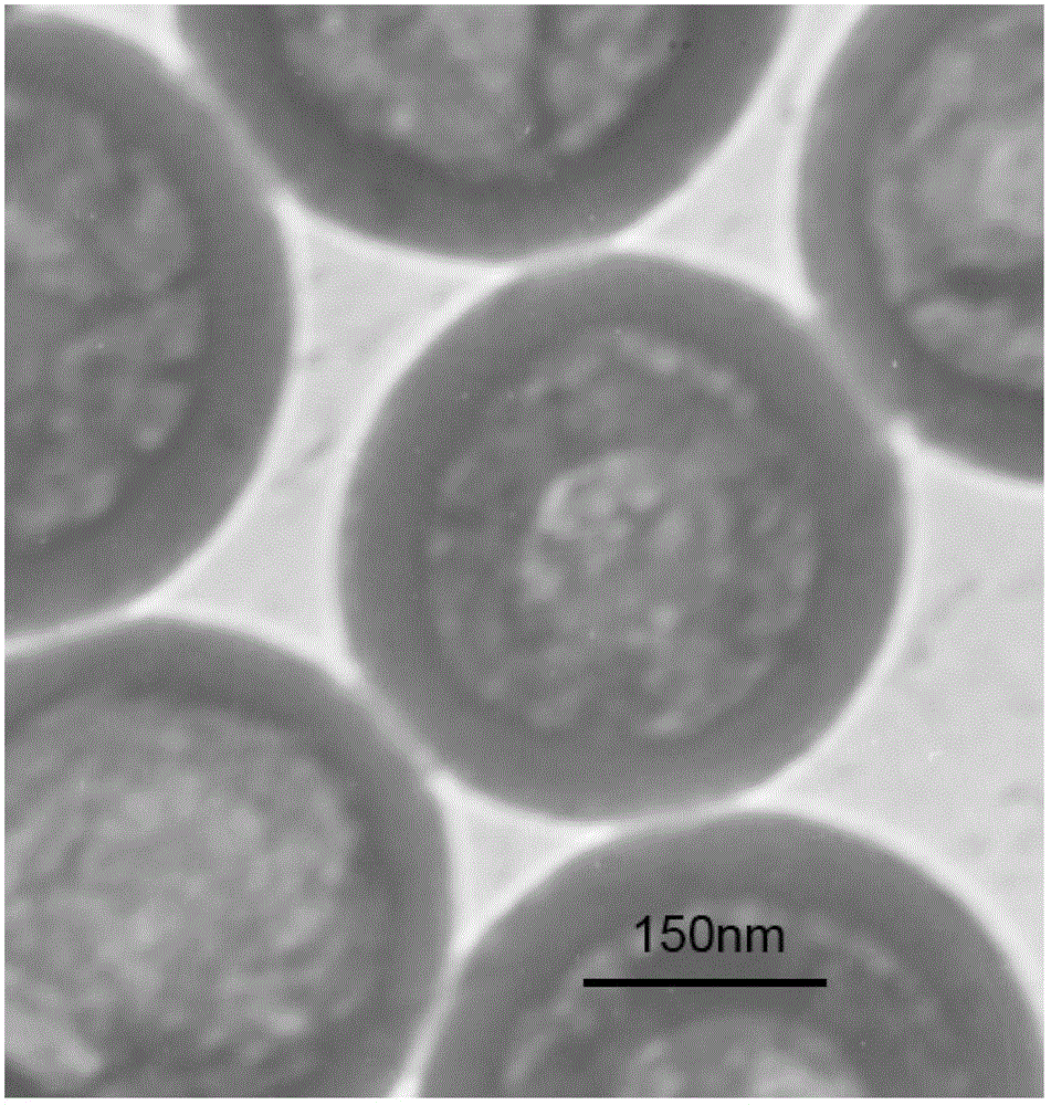 Preparation method of layered porous carbon particles in yolk-shell structure