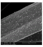 A kind of preparation method of nano silver chloride/chitosan fiber antibacterial dressing