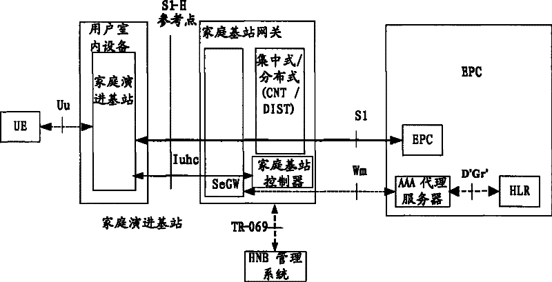 Family evolution base station system and access method of wireless device