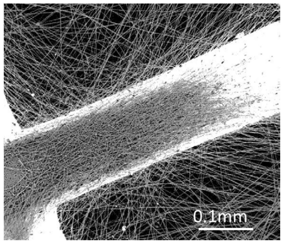 Ultraviolet photocatalytic electrospinning anti-fog and haze window screen and its preparation method