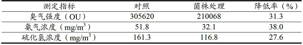 Lactobacillus strain and application thereof