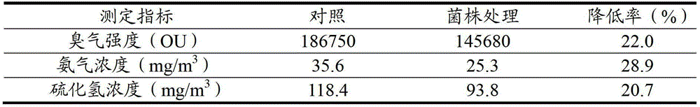 Lactobacillus strain and application thereof