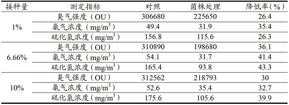 Lactobacillus strain and application thereof