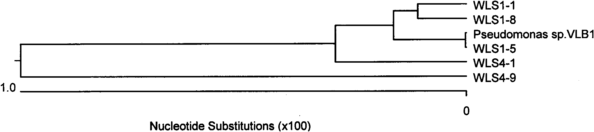 Method for quickly screening oxygenase microbes or oxygenase genes