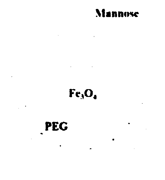 Composition with macrophage polarization targeted adjustment function and preparation method and application thereof