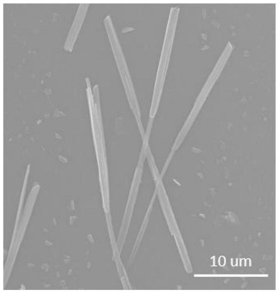 One -dimensional nuclear shell three -in -segment multi -color light emitting organic micro -nano crystal and its preparation and application