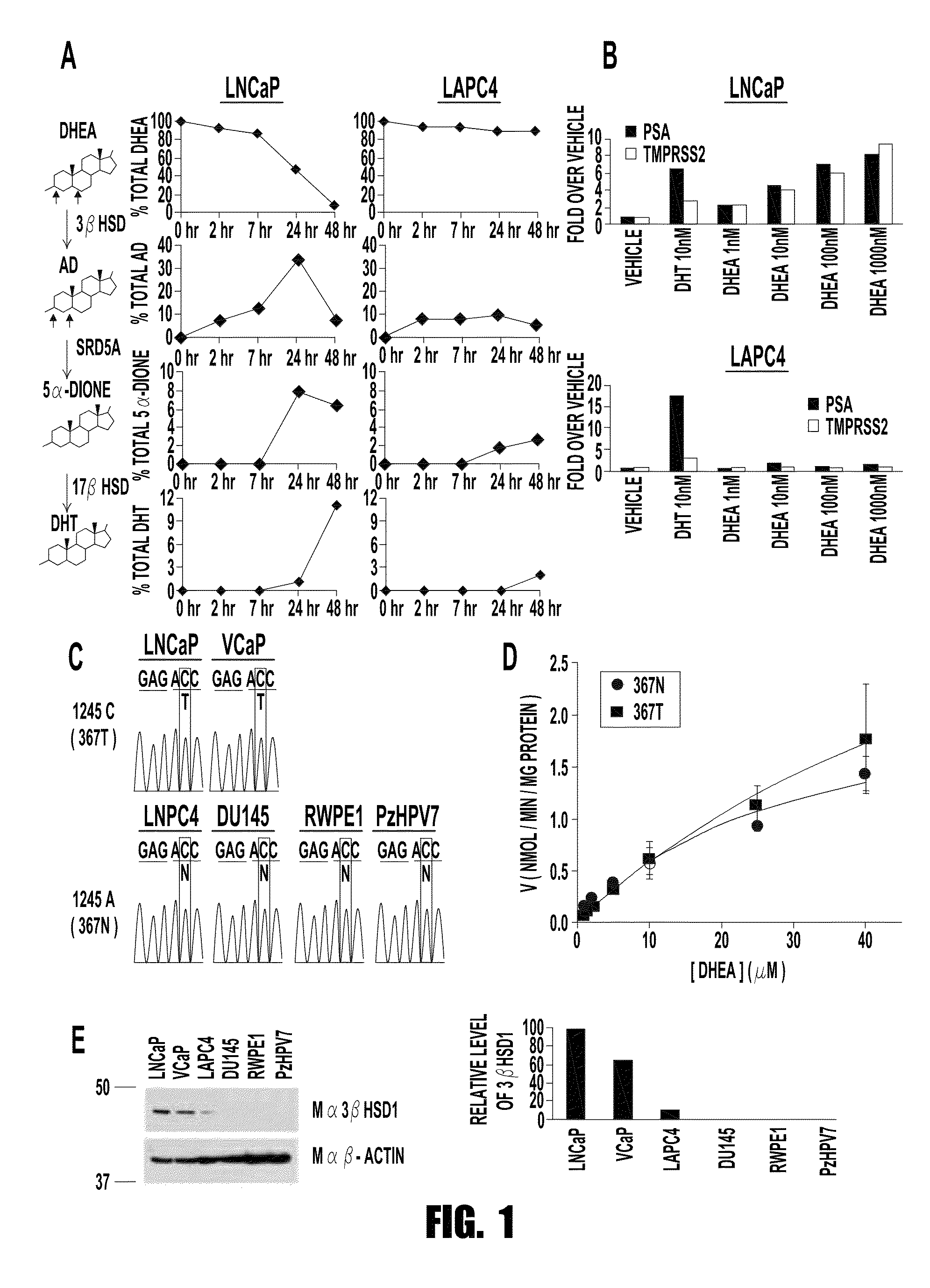 3b-hydroxysteroid dehydrogenase in steroid-dependent disease