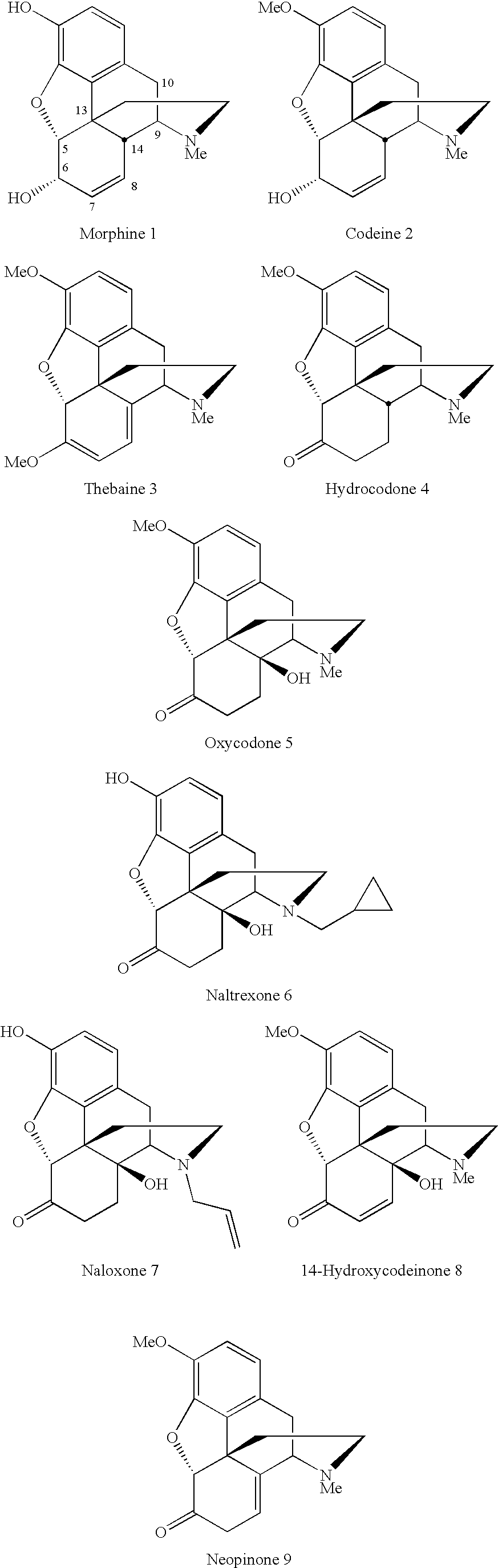Conversion of thebaine to morphine derivatives