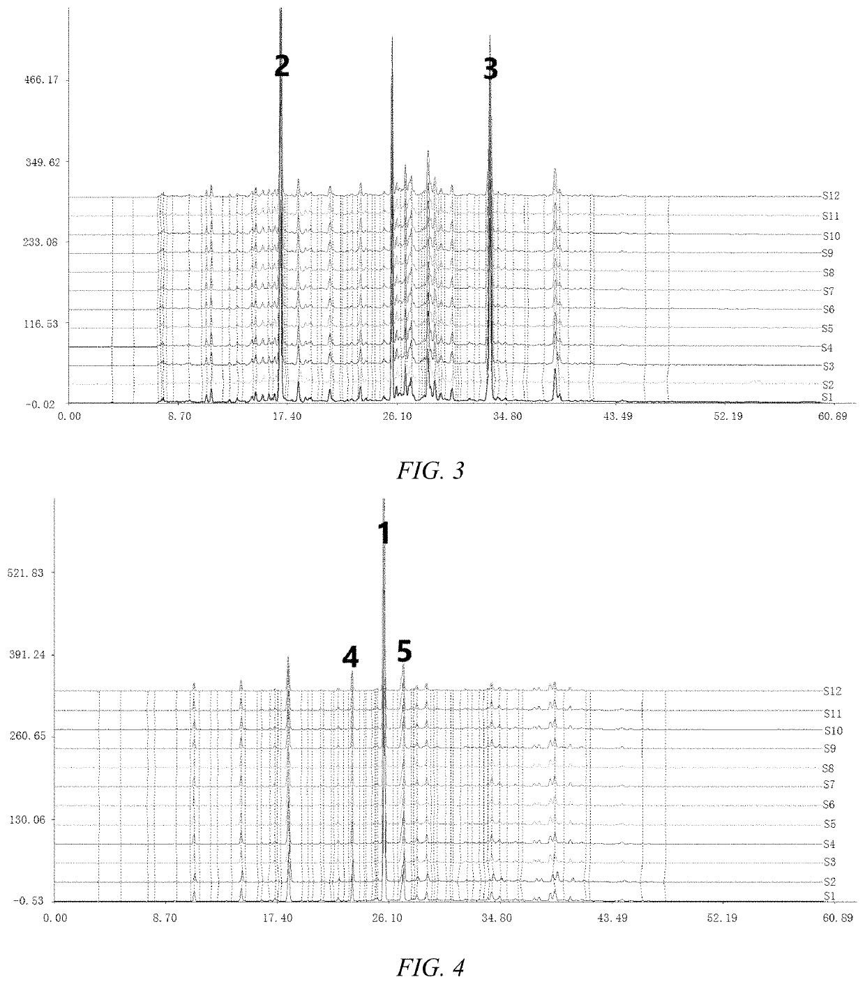 Syringa pubescens seed extract, its preparation and application in antibiotic-resistant infections