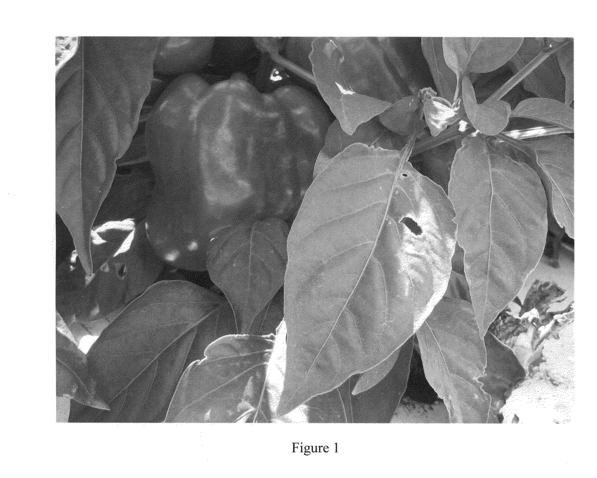 Compositions and methods for the control of nematodes and soil borne diseases
