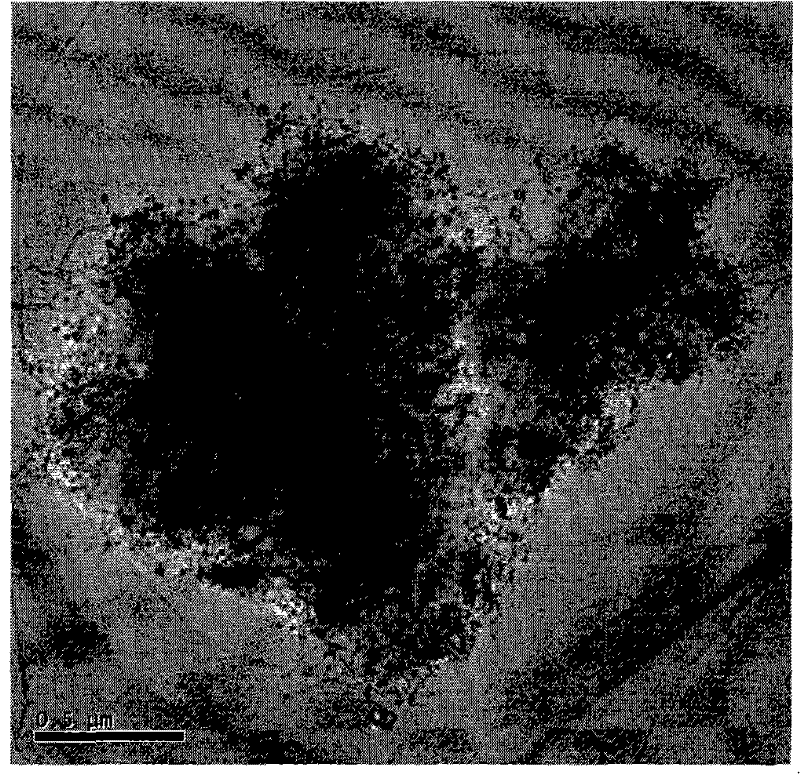 Method for preparing carbon nanotube/magnesium composite powder by nickel catalytic in-situ chemical vapor deposition