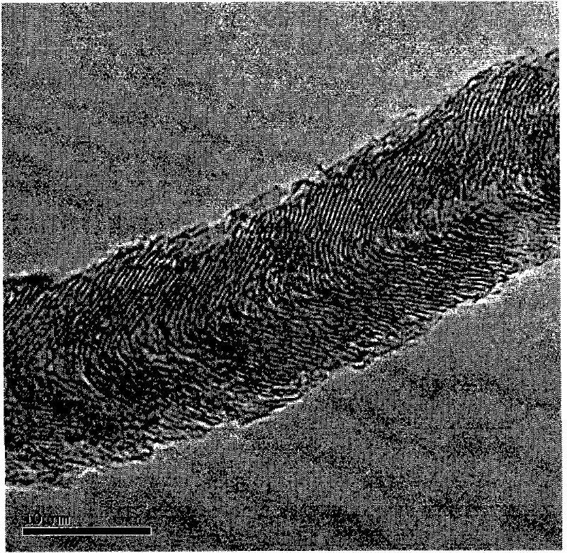 Method for preparing carbon nanotube/magnesium composite powder by nickel catalytic in-situ chemical vapor deposition