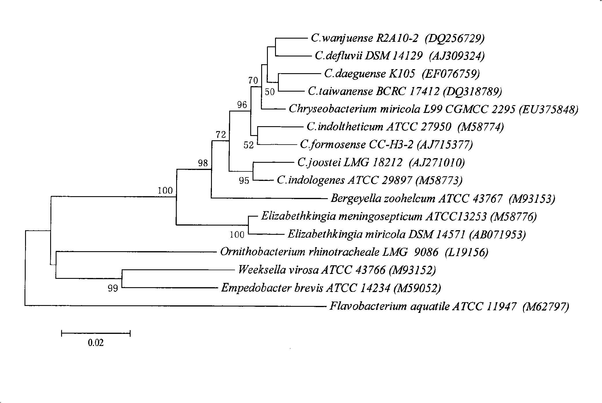 Chryseobacterium gleum for producing keratinase and separation method thereof