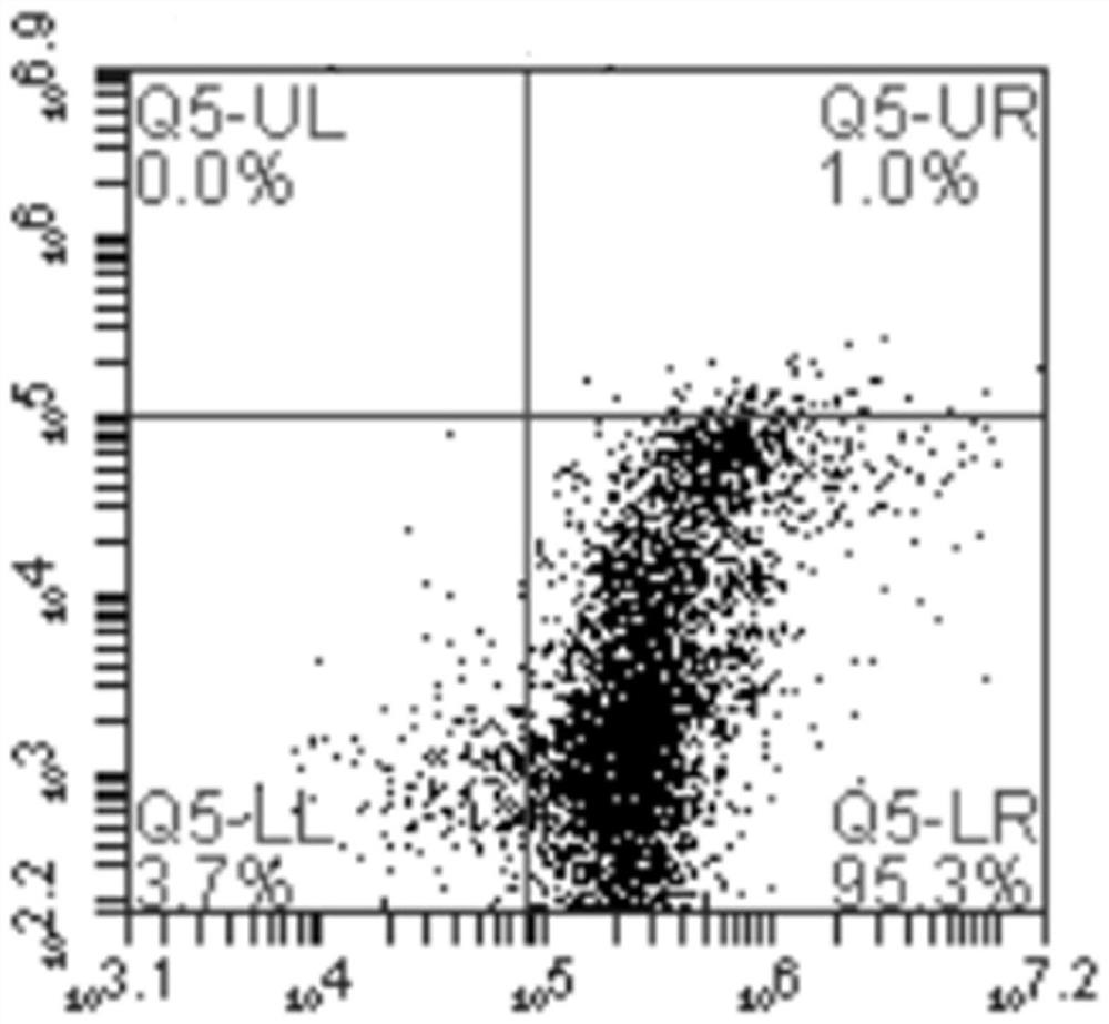 Vaginal secretion derived polypeptide and application thereof in inhibition of candida albicans infection