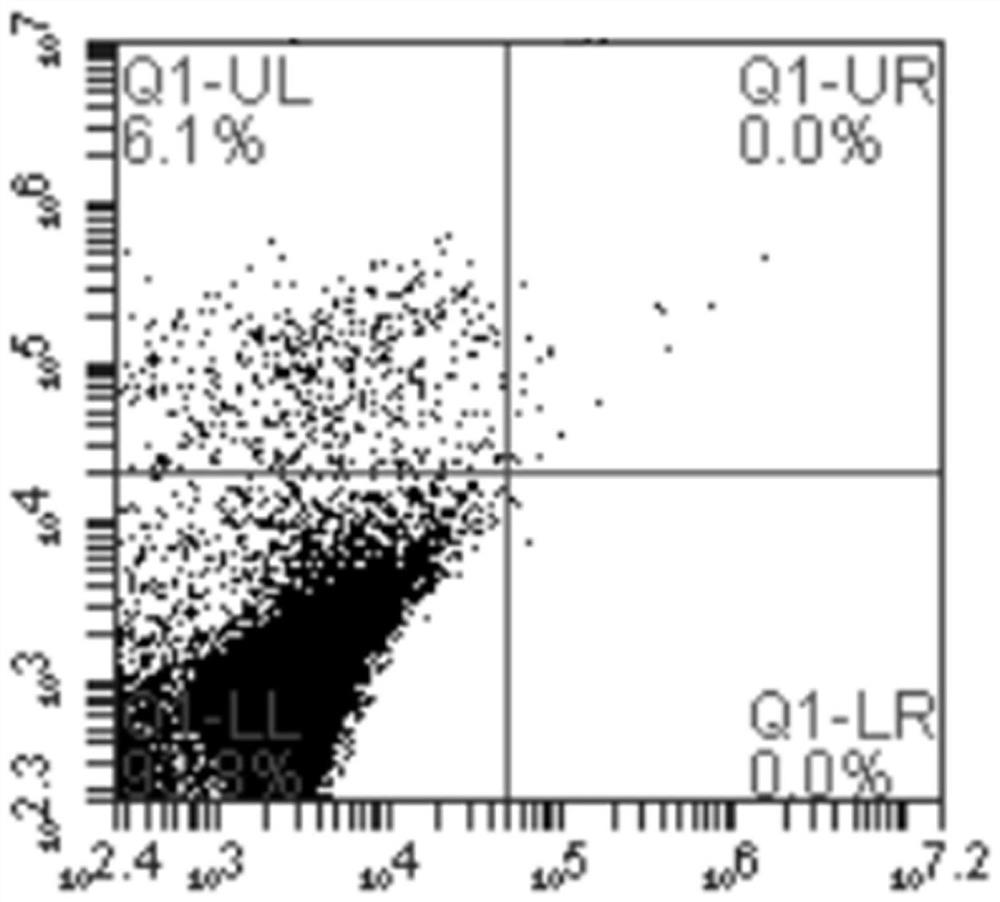 Vaginal secretion derived polypeptide and application thereof in inhibition of candida albicans infection