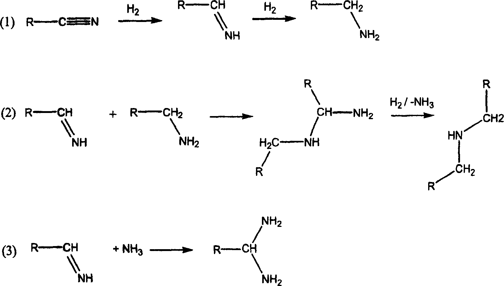 Process for preparing amines by conditioning the catalyst with ammonia