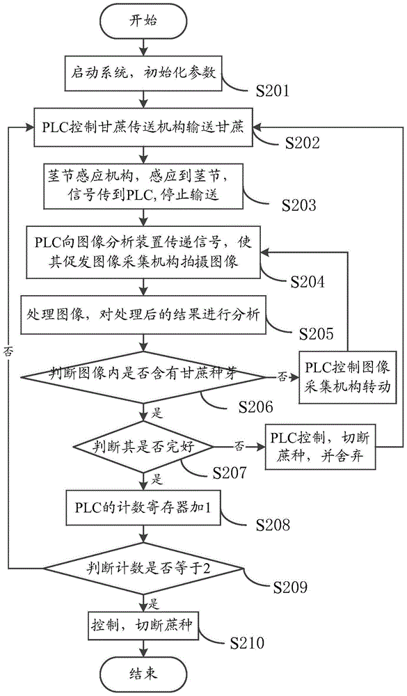 System and method for detecting integrity of sugarcane seed buds