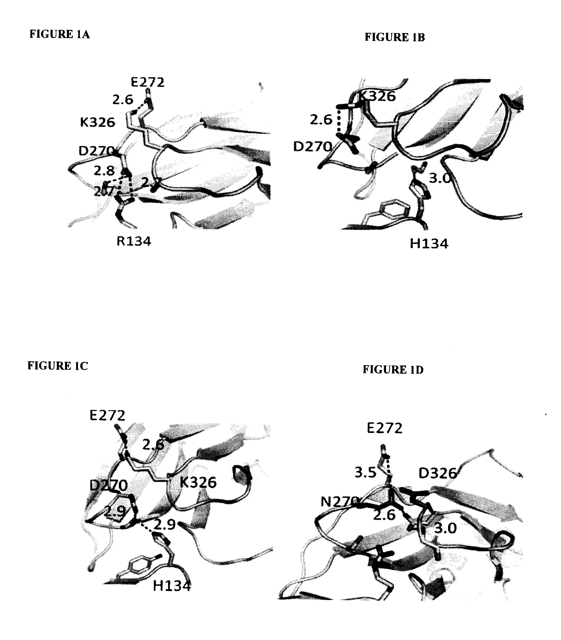 Antibodies with Enhanced or Suppressed Effector Function