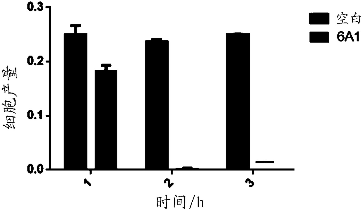 Preparation method and application of flavobacterium and flavobacterium secreta