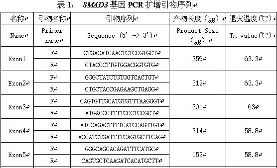 Muscovy duck egg laying performance associated gene SMAD3 molecular marker screening method
