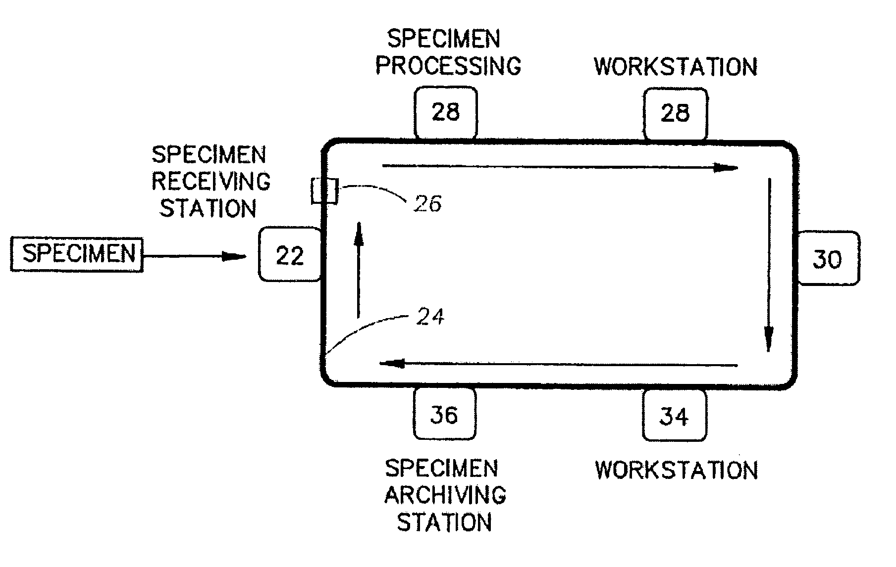 Method for automatic testing of anatomical laboratory specimens